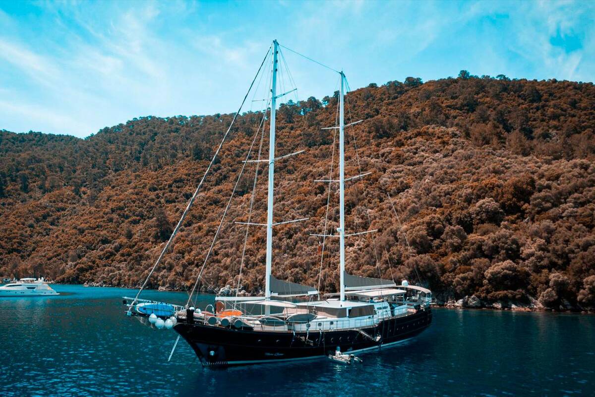NEVRA QUEEN exterior