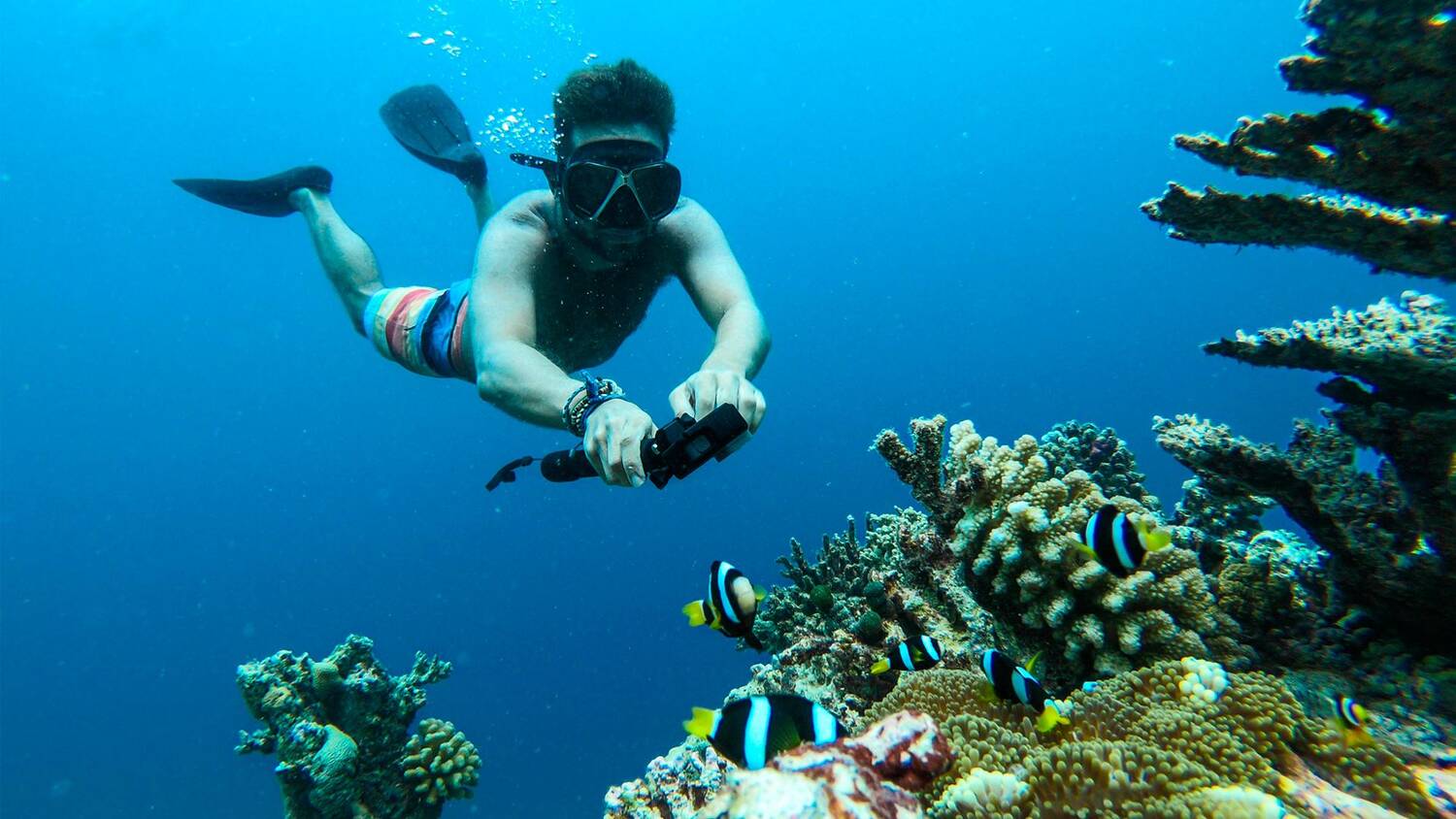 Goidhoo
