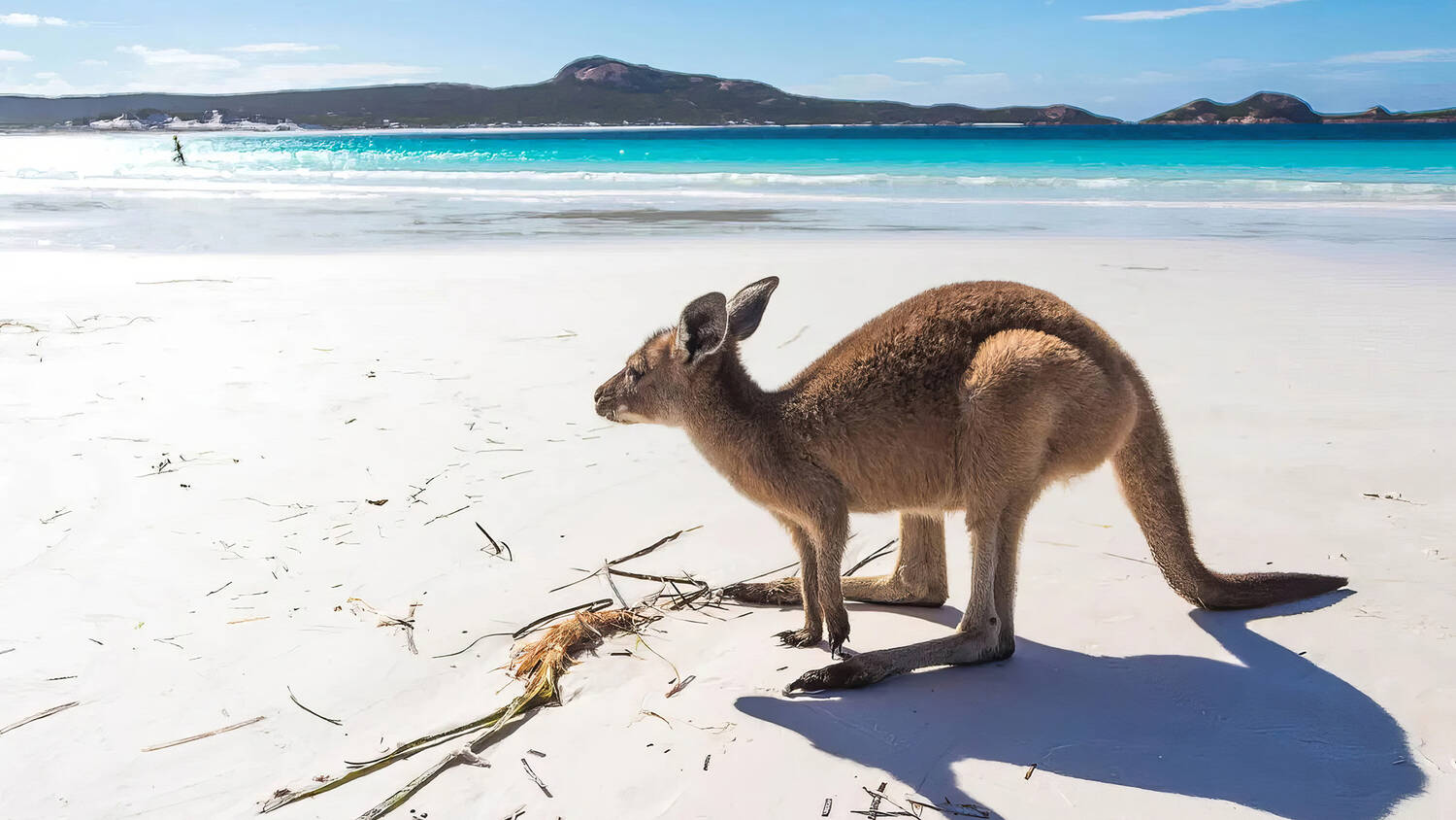Australia