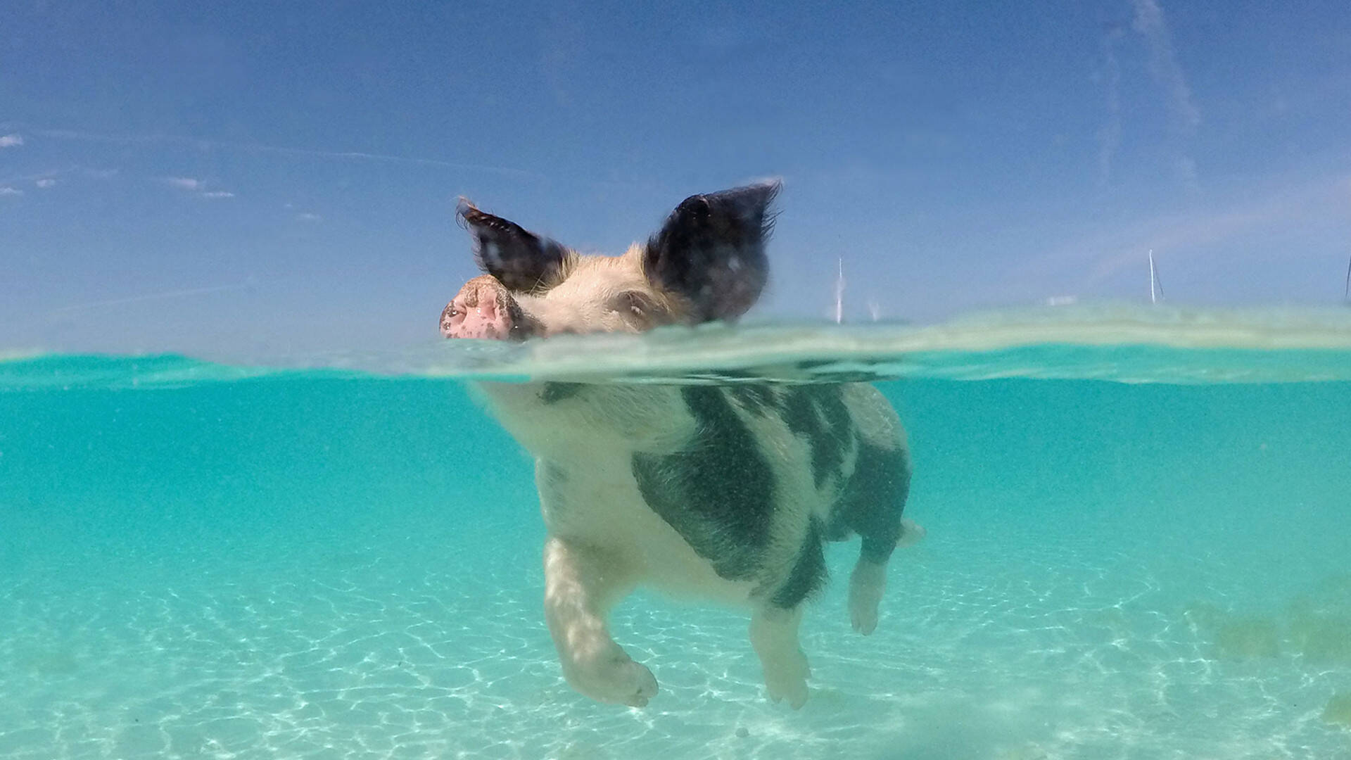 Winter escape to Bahamas